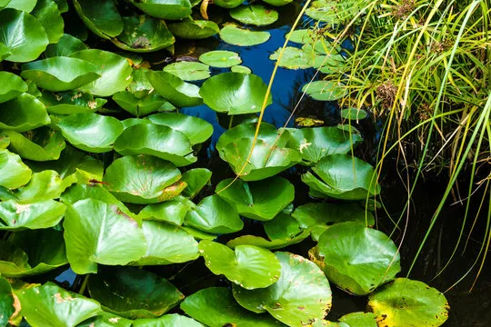 福彩3d 走势图示例